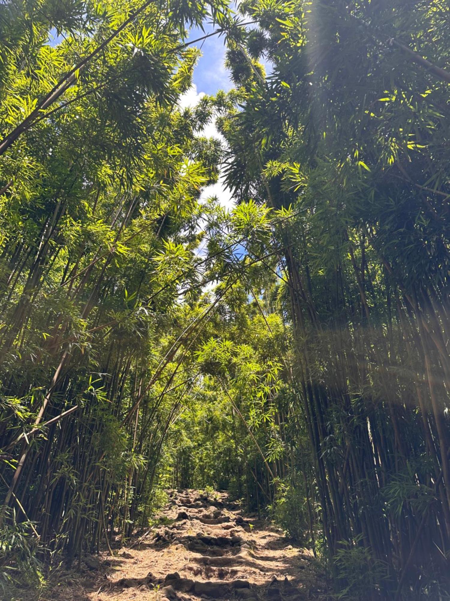 פאיה Embark On A Journey Through Maui With Aloha Glamp'S Jeep And Rooftop Tent Allows You To Discover Diverse Campgrounds, Unveiling The Island'S Beauty From Unique Perspectives Each Day מראה חיצוני תמונה